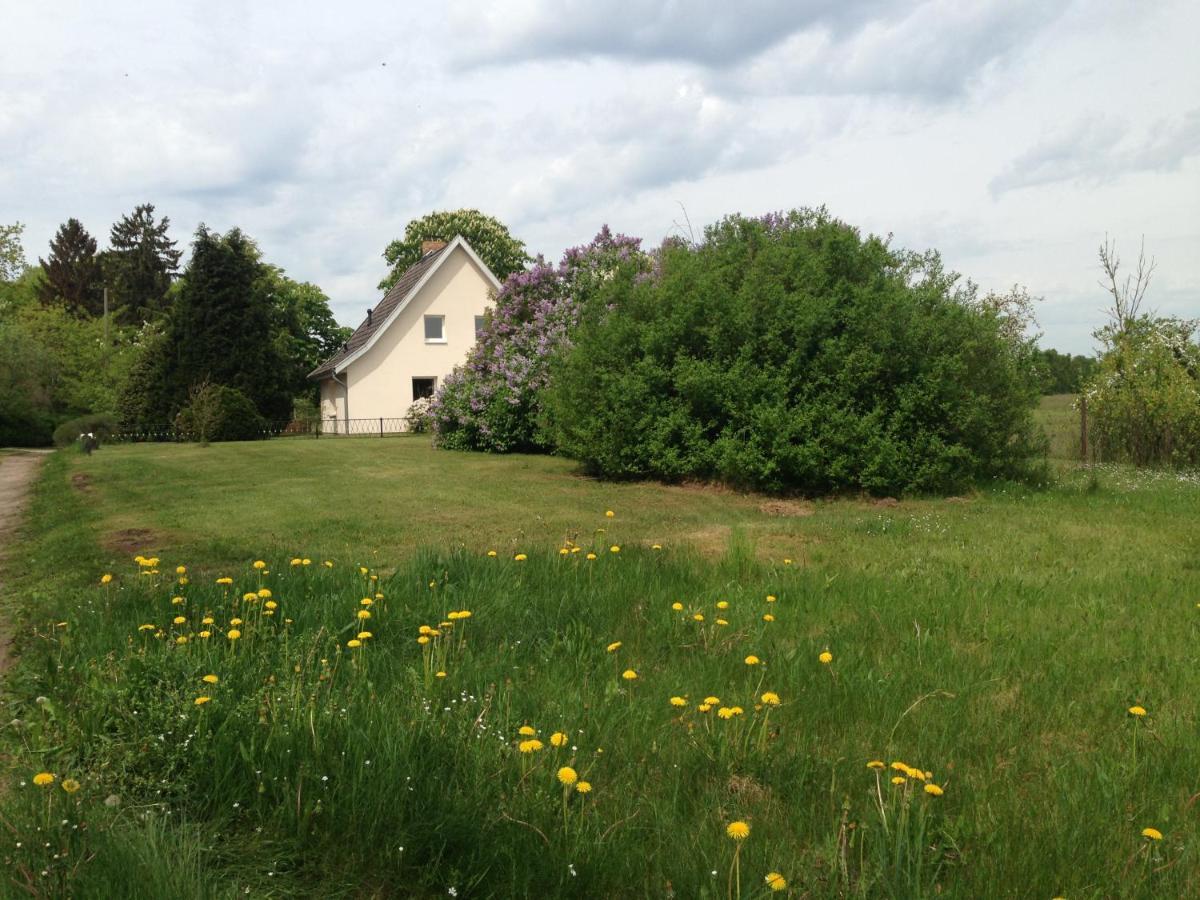 Gut Settin Am See - Ferienhaeuser Villa Exterior photo